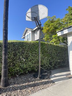 Basketball hoop - FREE