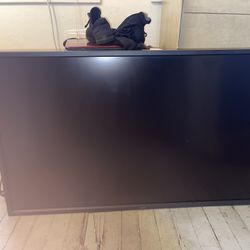  LCD Monitor