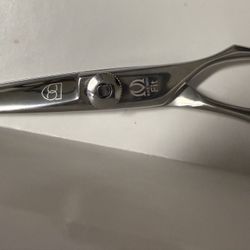 Mizutani Scissors 