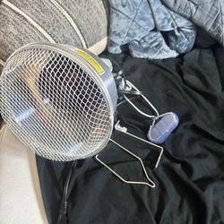 250 Watt Reptile Heat Lamp