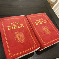 Soft Plushie Bible Pillow Gift for Comfort and Prayer Openable Book Shaped with Printed Embroidered Inspirational Biblical Verses for Daily Devotion