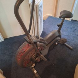 Schwinn Airdyne AD2 Workout Bike