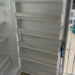 Woods upright freezer