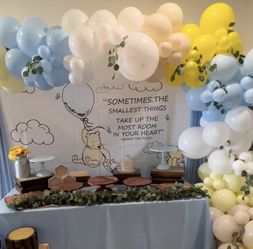 Party Balloons and Decor