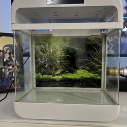 2.2 Gallon Fish Tank 