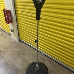Everlast Punching Bag 