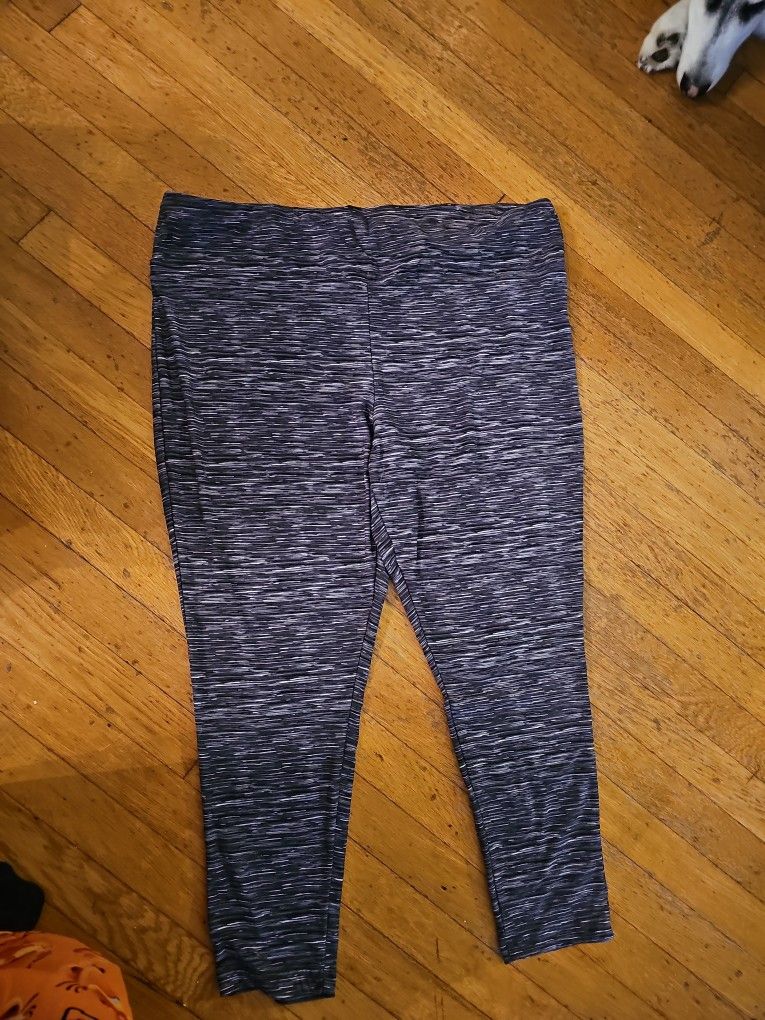 Terra And Sky Woman's Pants Size 2x