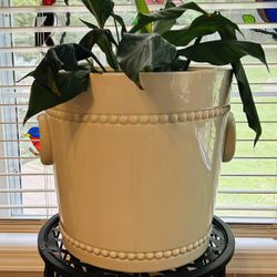 Vintage Italian Carbone Chinoiserie White Pottery Porcelain Large Garden Planter Pot