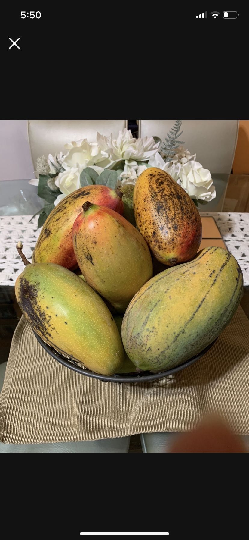 Valencia Pride Mangoes 3 For $5