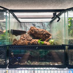 18X18X18 Fully Bioactive Exo Terra Glass Terrarium