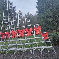 Orchard Ladders 