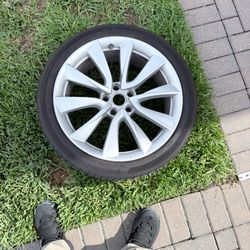 19” Tesla wheels