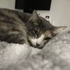 Kaylee