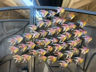 🐠 HUGE 3D METAL SCHOOL OF FISH WALL SCULPTURE – ONLY $95 🐠