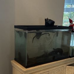29 Gallon Fish Tank 2 Filters NEED GONE