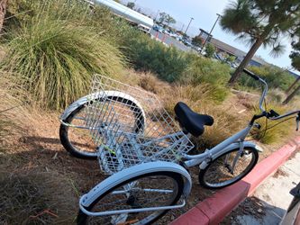 6 speed trycycle