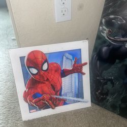 Spiderman Decor  Both For $25