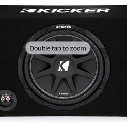 DOWNFIRE 12” kicker speaker and box