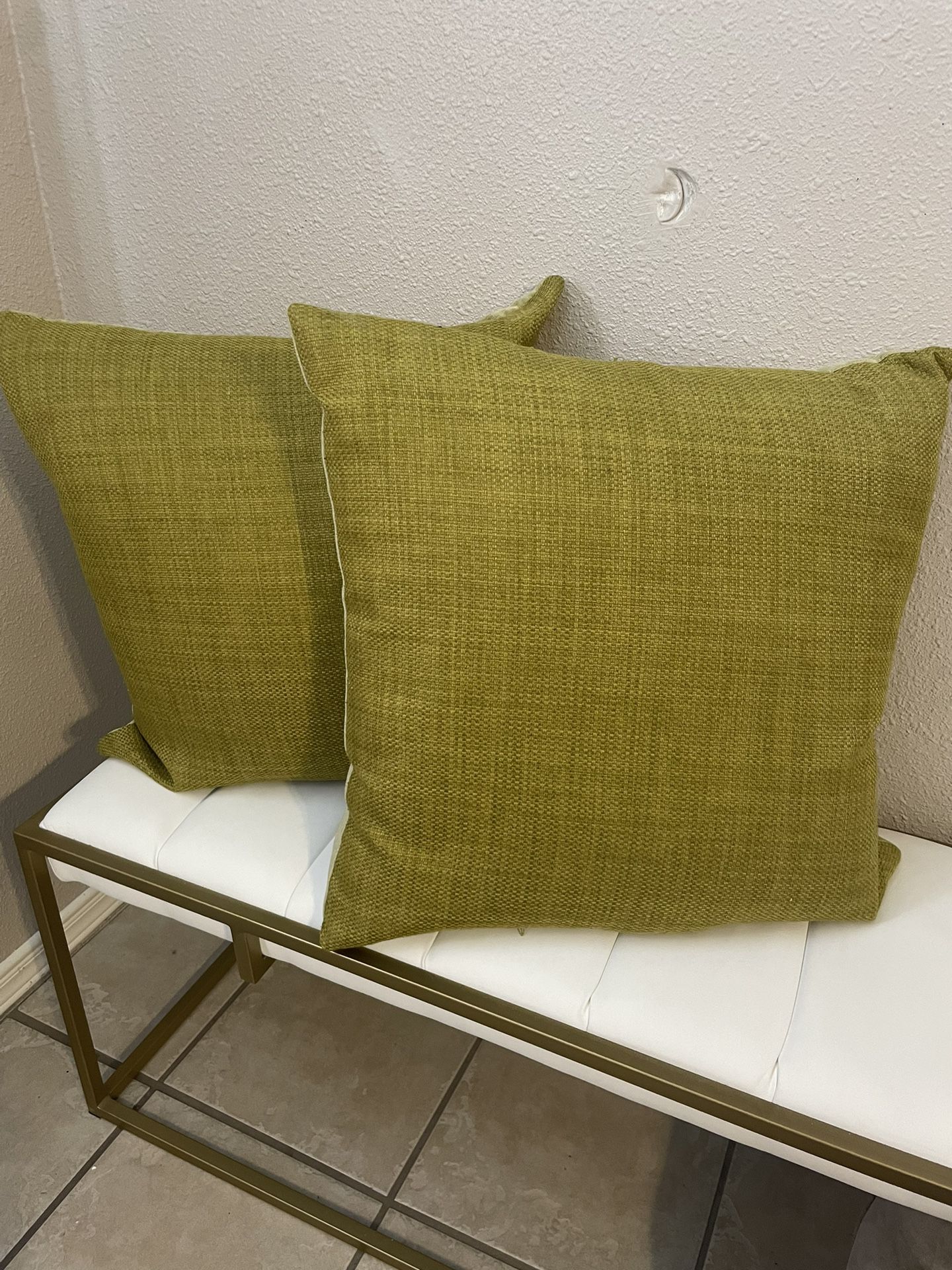 20x20"  Clean, Green goose feather Cushion,  Indoor or Outdoor 