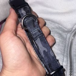 Dog Collar 