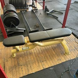 Hammer Strength Adjustable Bench 