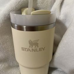 Stanley 20oz 
