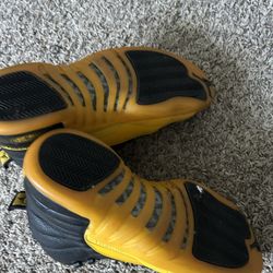Jordan 12s