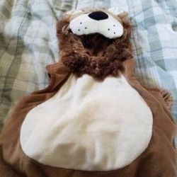 Infant lion costume NEW 6/9 Months