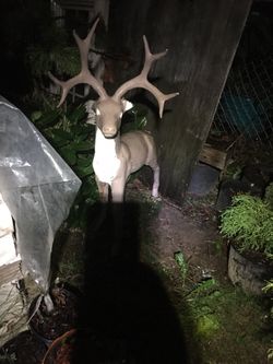 Concrete Deer
