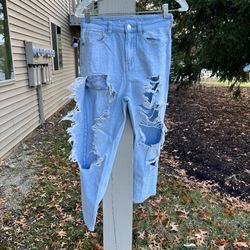 AE Strigid Ripped Mom Jean Short