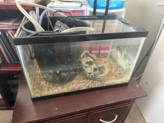 Fish tank, FREE