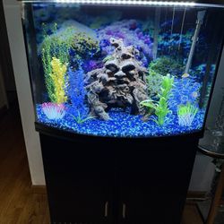 36 Gallon Fish Tank 