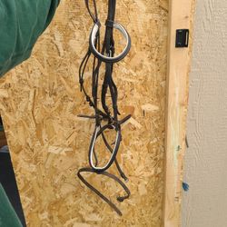Dressage Bridle