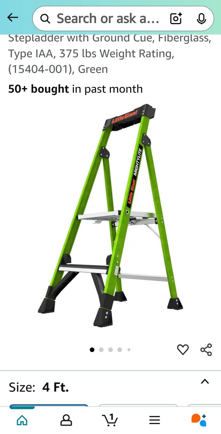 Little Giant MightyLight 2 Ladder