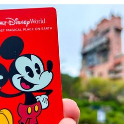 Disney Florida Resident 1 Day Ticket Park Hopper 