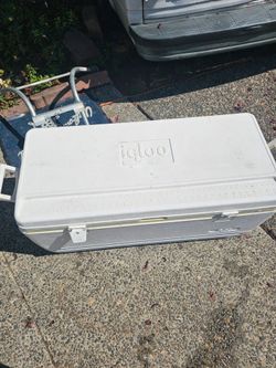 Igloo cooler