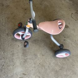 Toddler Training Bike