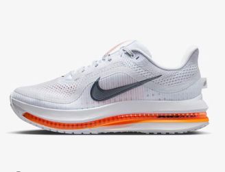 Zoom Air Pegasus