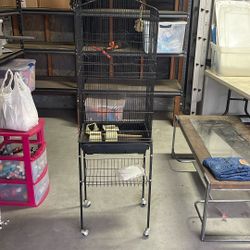 Bird Cage 