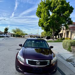 Honda accord 2010 EX-L