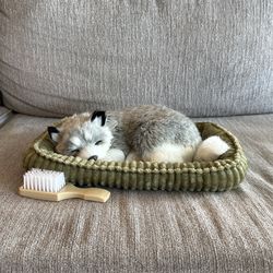 Perfect Petzzz Alaskan Husky