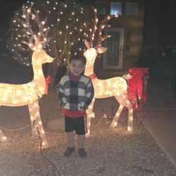 BMW Window Regulator Replacement 