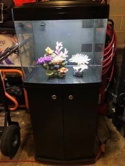 Bio Cube 29 Gallon Saltwater Aquarium