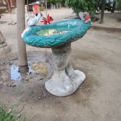 (2) Bird Baths