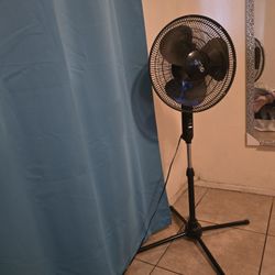 Standing Fan