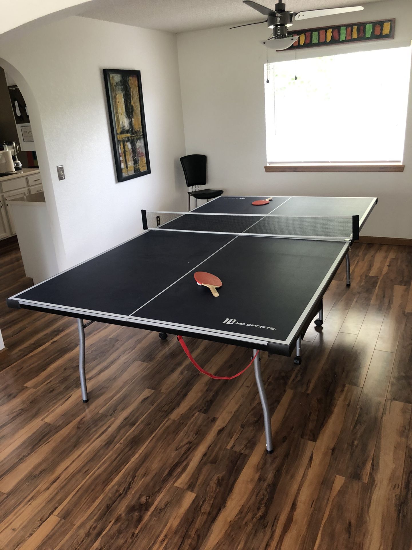 Ping Pong Table