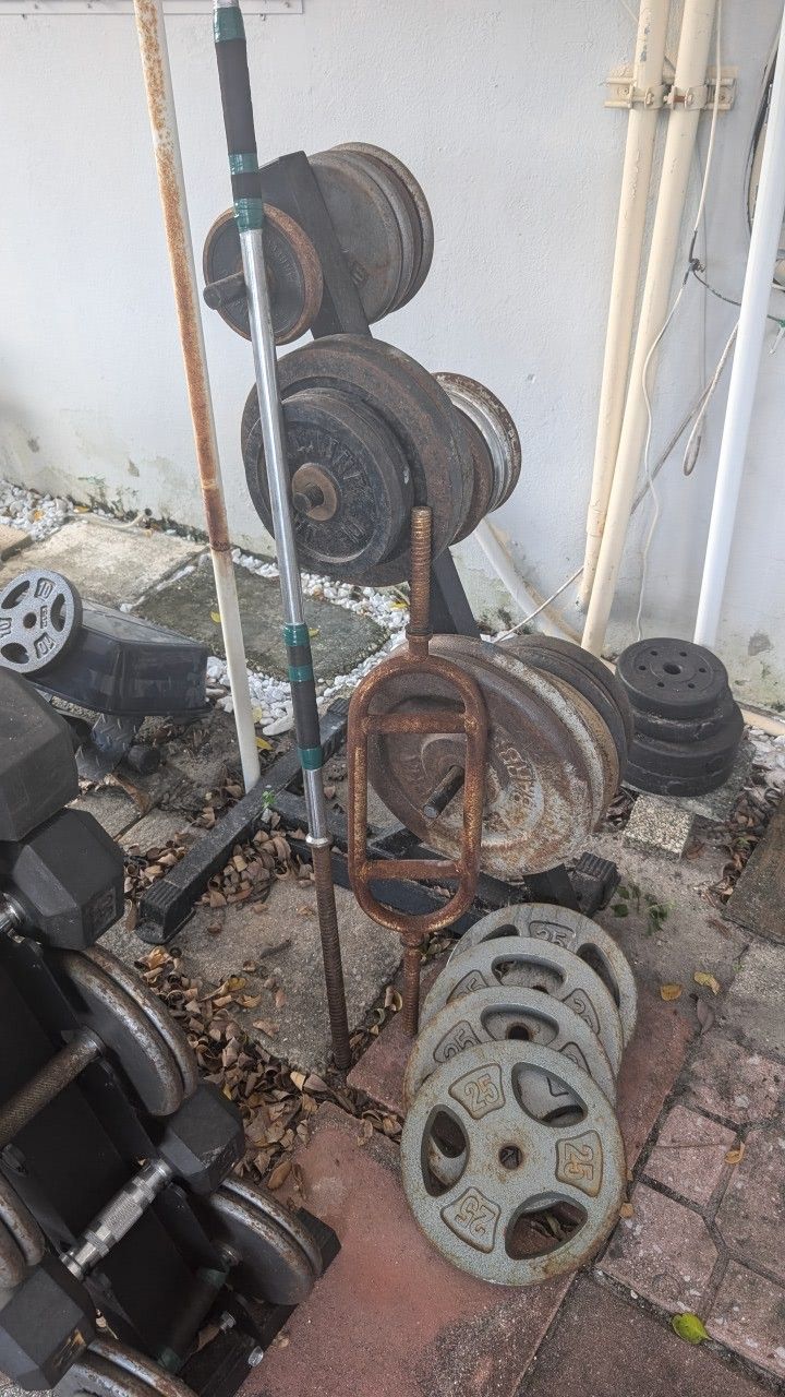 Standard Weights 1" Center Hole With Barbell And Curl Bar