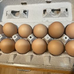 Dozen Of Eggs