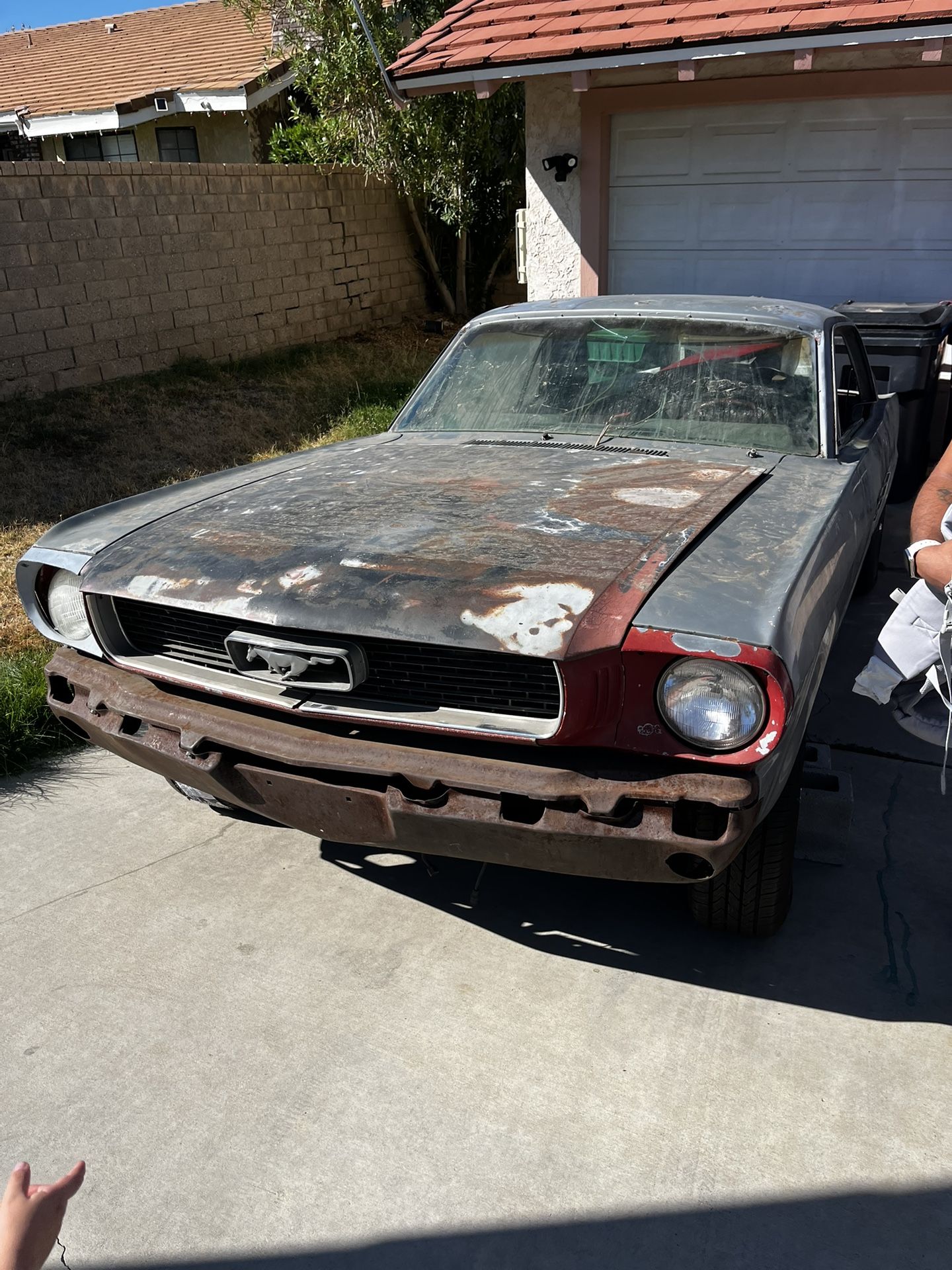1966 Ford Mustang