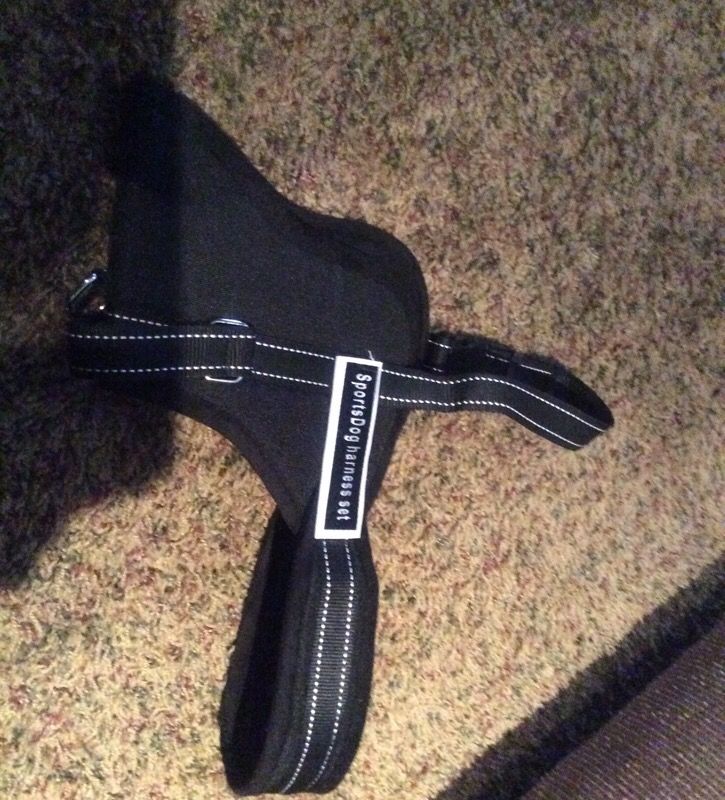 New dog harness